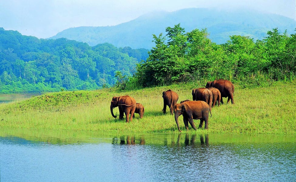 Kerala Idukki